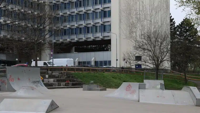 Forsthauspark Skatepark