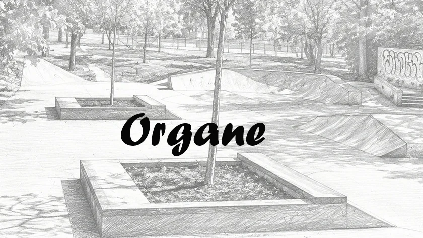 Organe